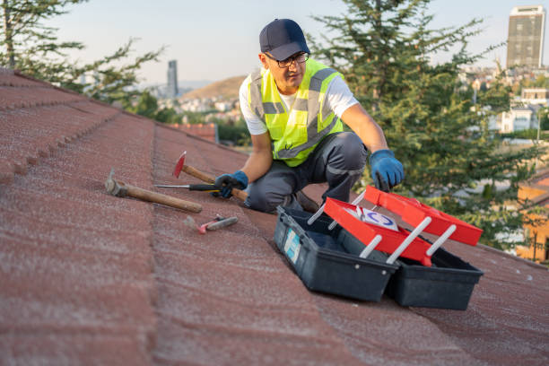 Professional Siding in Rifle, CO